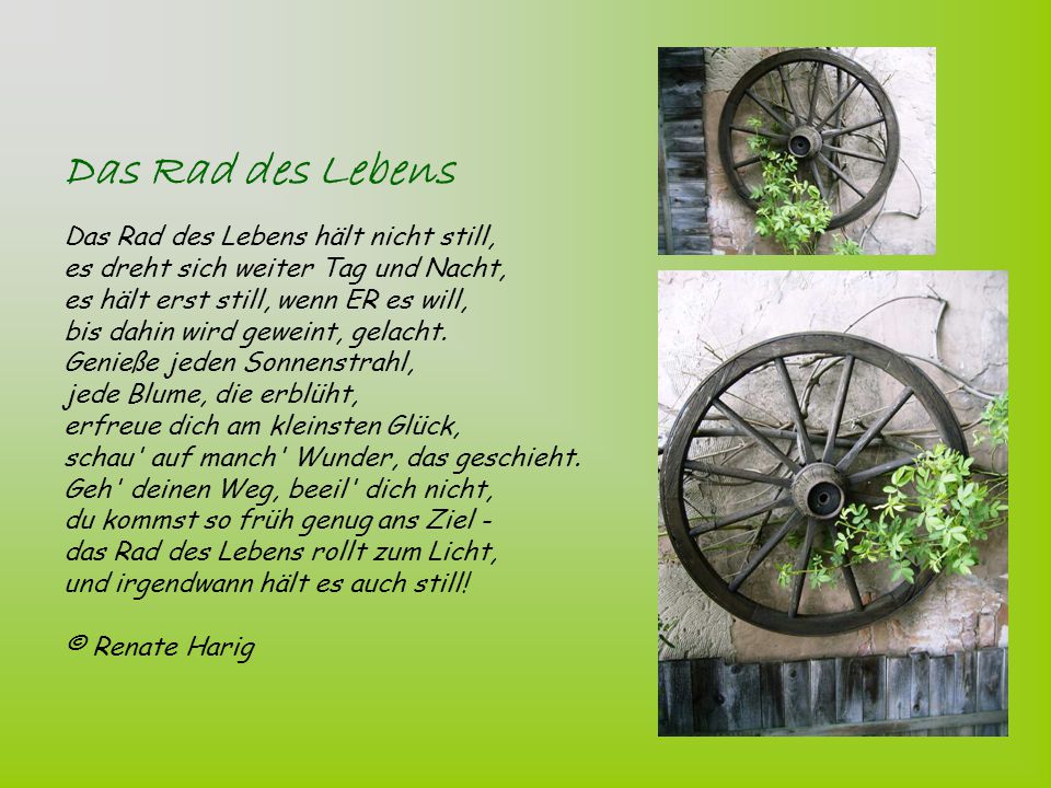 Das Rad des Lebens Das Rad des Lebens hält nicht still, es dreht sich weiter Tag und Nacht, es hält erst still, wenn ER es will, bis dahin wird geweint, gelacht.