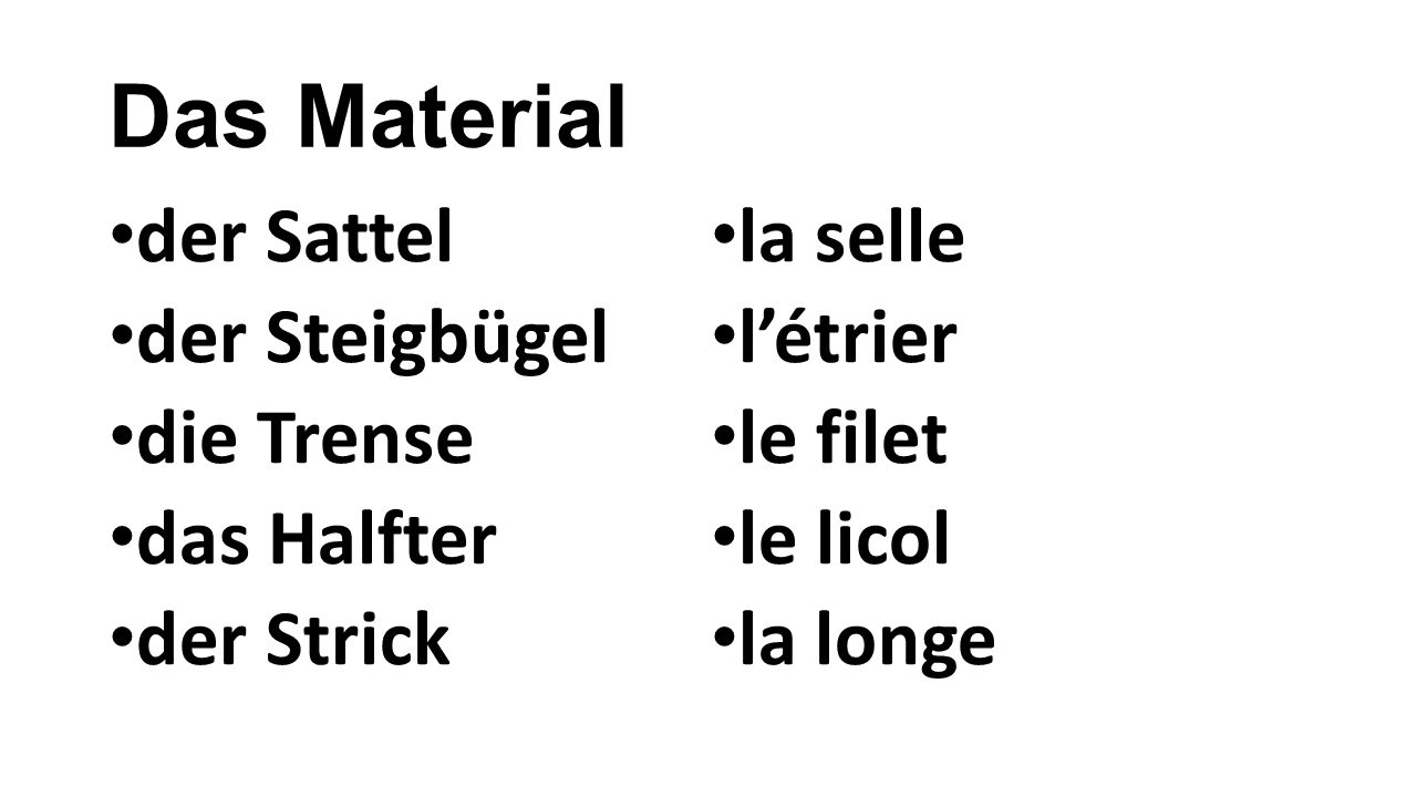 Das Material der Sattel der Steigbügel die Trense das Halfter