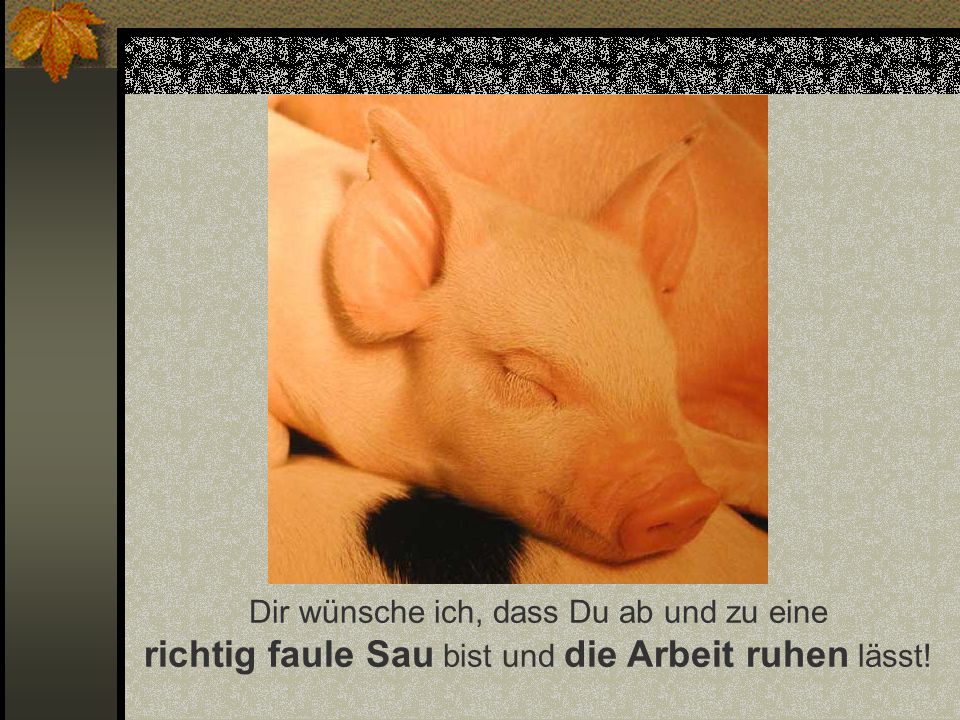 Funny-Powerpoints.net Dir wünsche ich, dass Du ab und zu eine richtig faule Sau bist und die Arbeit ruhen lässt!