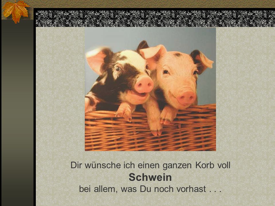 Funny-Powerpoints.net Dir wünsche ich einen ganzen Korb voll Schwein bei allem, was Du noch vorhast