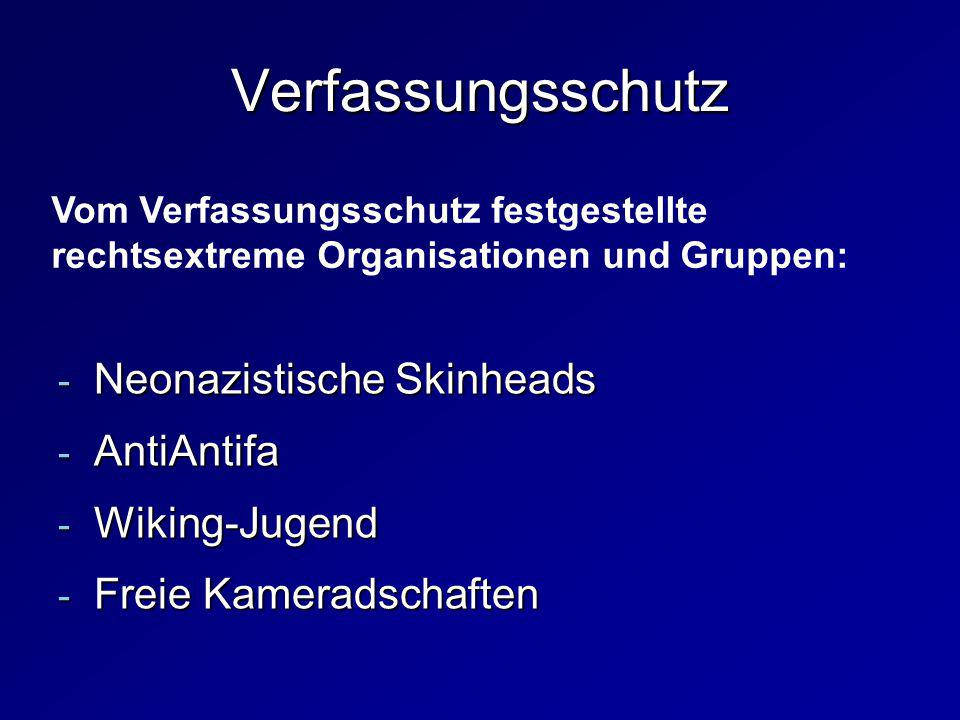 Verfassungsschutz Neonazistische Skinheads AntiAntifa Wiking-Jugend