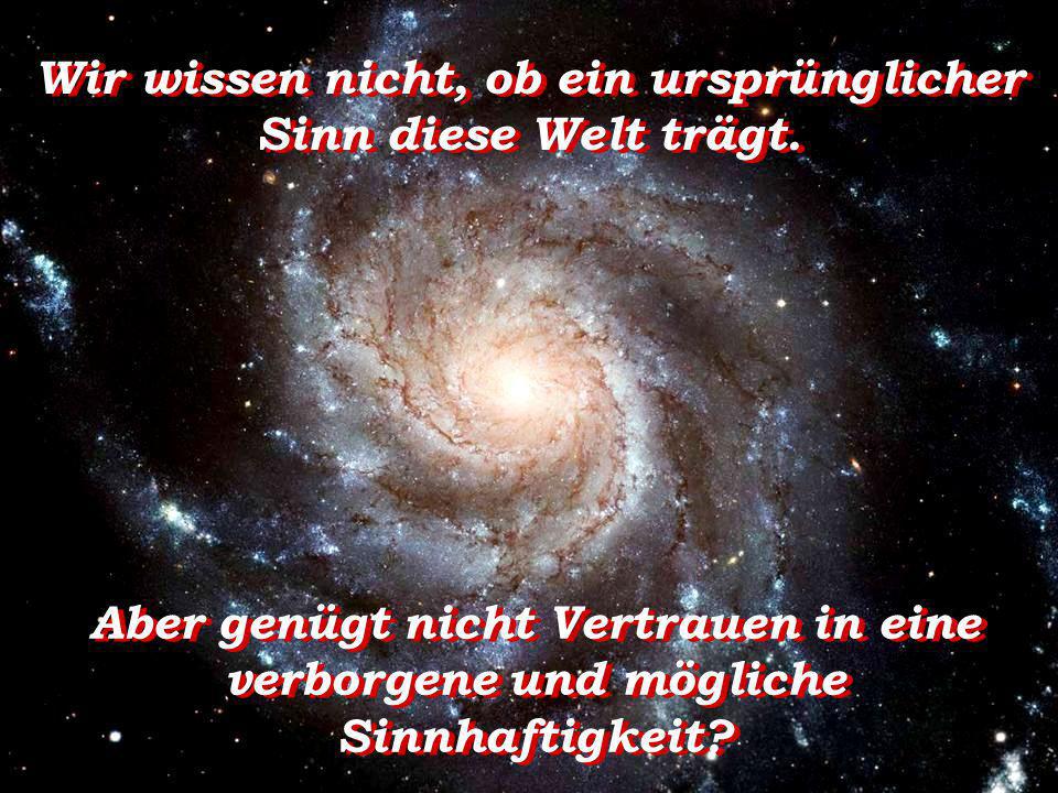 Wir wissen nicht, ob ein ursprünglicher Sinn diese Welt trägt.