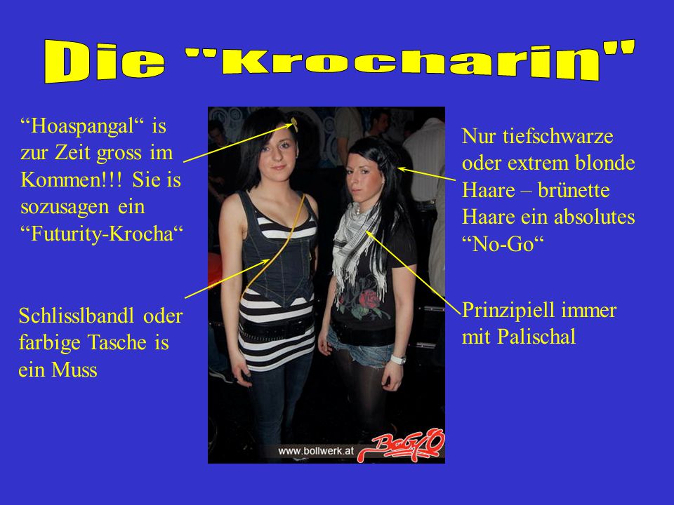 Die Krocharin Hoaspangal is zur Zeit gross im Kommen!!! Sie is sozusagen ein Futurity-Krocha