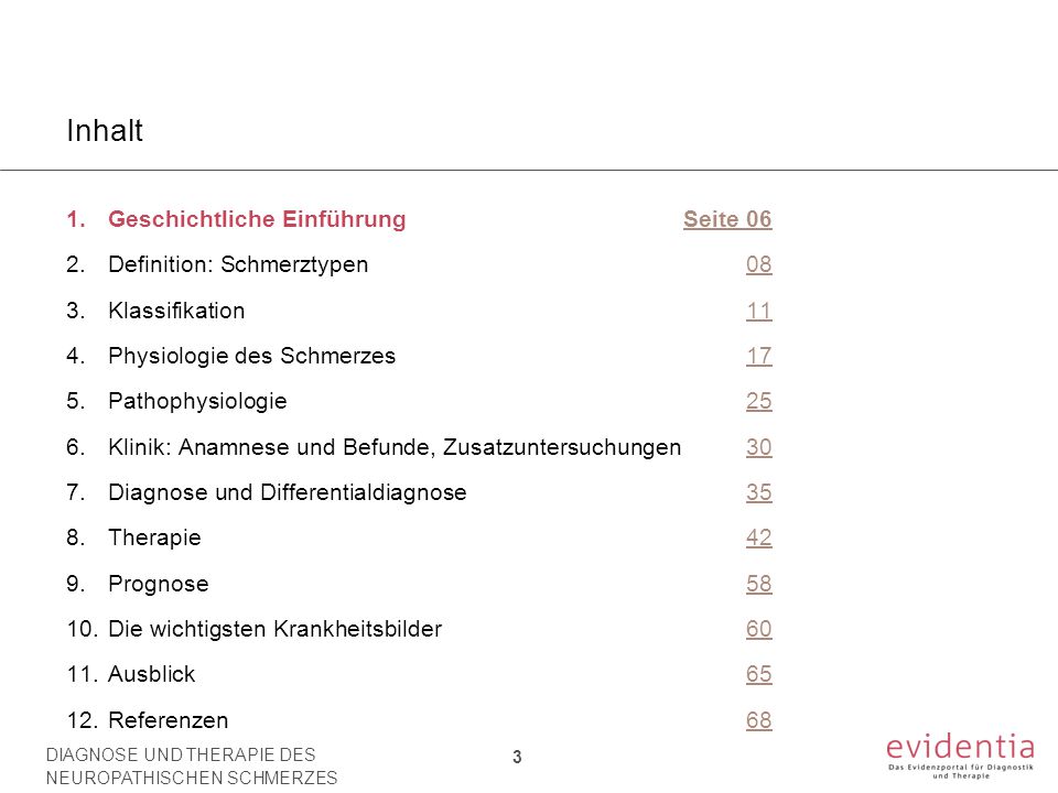 Inhalt Geschichtliche Einführung Seite 06 Definition: Schmerztypen 08