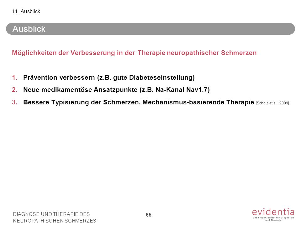 11. Ausblick Ausblick. Möglichkeiten der Verbesserung in der Therapie neuropathischer Schmerzen.