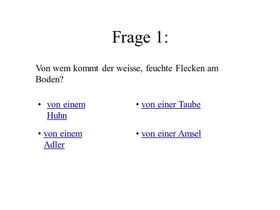 Frage 1: Von wem kommt der weisse, feuchte Flecken am Boden