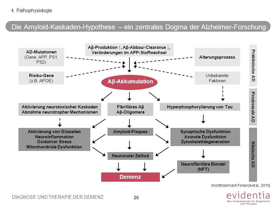 4. Pathophysiologie Die Amyloid-Kaskaden-Hypothese – ein zentrales Dogma der Alzheimer-Forschung. Aβ-Produktion ↑, Aβ-Abbau/-Clearance ↓,