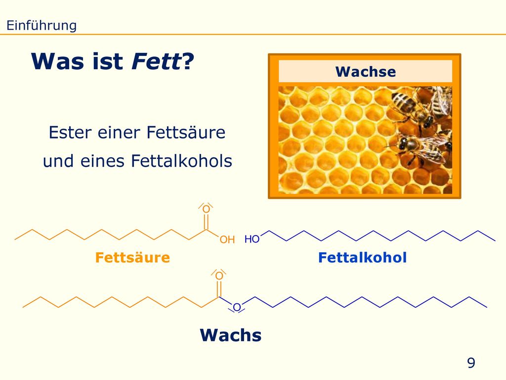 Was ist Fett Ester einer Fettsäure und eines Fettalkohols Wachs