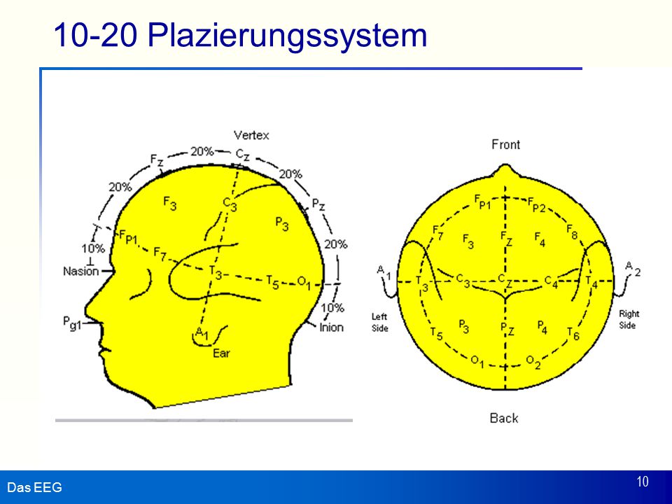 10-20 Plazierungssystem