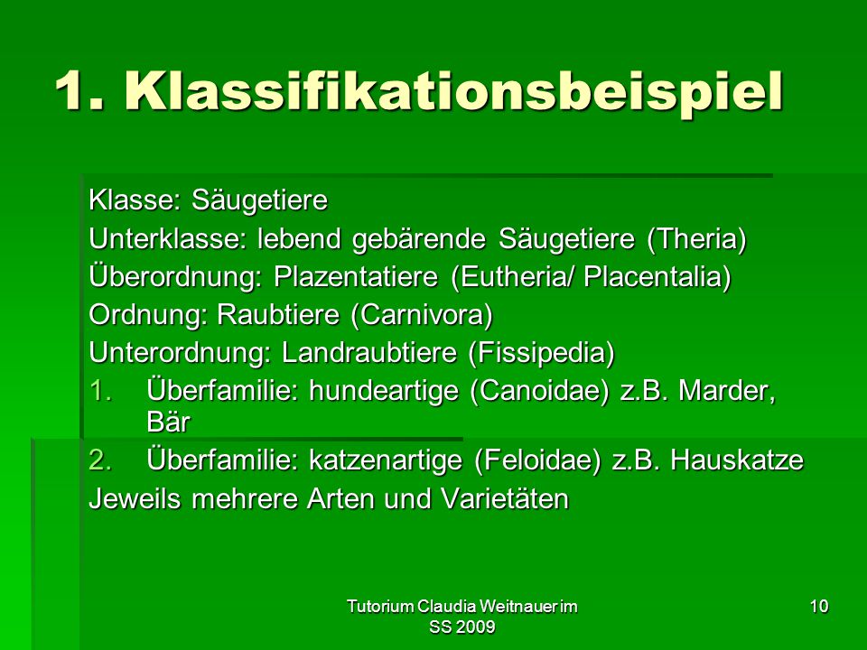 1. Klassifikationsbeispiel