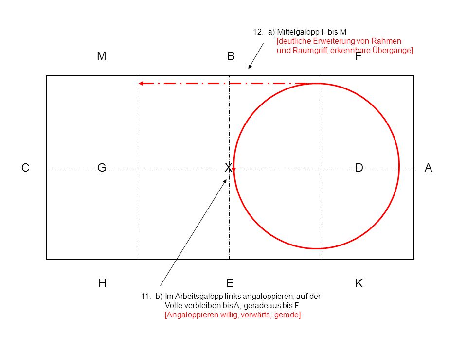 12. a) Mittelgalopp F bis M [deutliche Erweiterung von Rahmen und Raumgriff, erkennbare Übergänge]