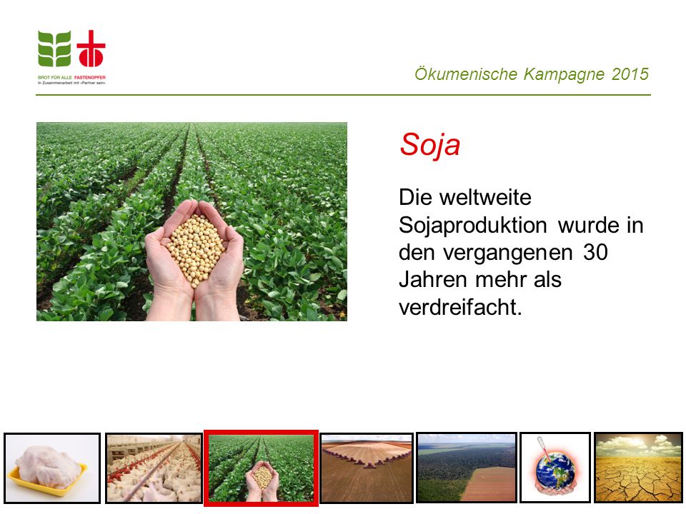 Soja Die weltweite Sojaproduktion wurde in den vergangenen 30 Jahren mehr als verdreifacht.