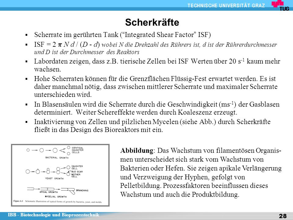 Scherkräfte Scherrate im gerührten Tank ( Integrated Shear Factor ISF)