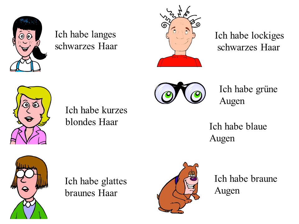Ich habe langes schwarzes Haar. Ich habe lockiges. schwarzes Haar. Ich habe grüne. Augen. Ich habe kurzes.