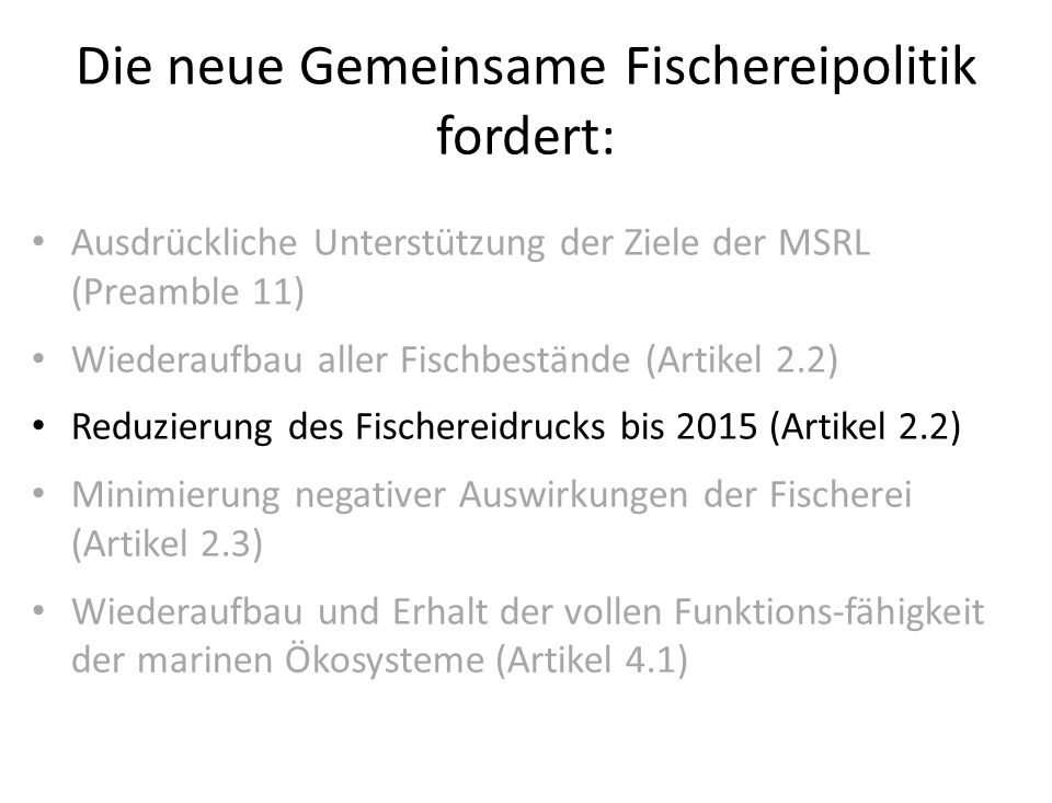 Die neue Gemeinsame Fischereipolitik fordert: