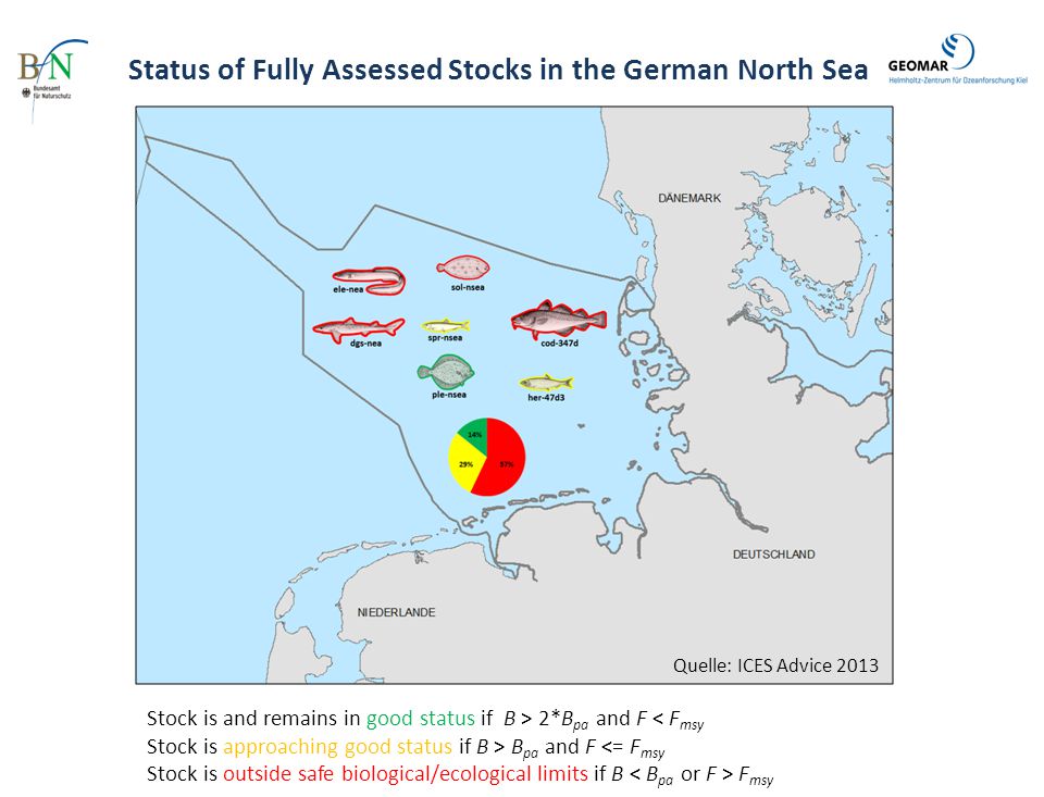 Status of Fully Assessed Stocks in the German North Sea