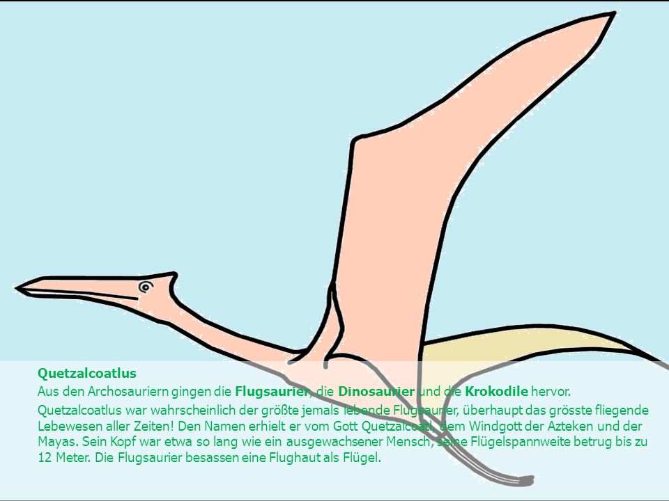Quetzalcoatlus Aus den Archosauriern gingen die Flugsaurier, die Dinosaurier und die Krokodile hervor.