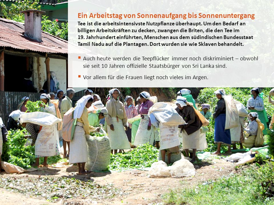 Ein Arbeitstag von Sonnenaufgang bis Sonnenuntergang