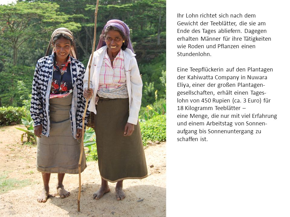 Ihr Lohn richtet sich nach dem Gewicht der Teeblätter, die sie am Ende des Tages abliefern. Dagegen erhalten Männer für ihre Tätigkeiten wie Roden und Pflanzen einen Stundenlohn.