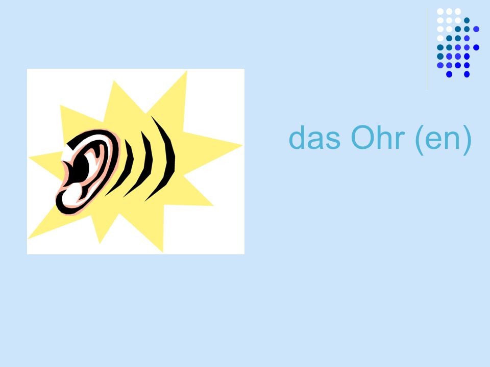 das Ohr (en)