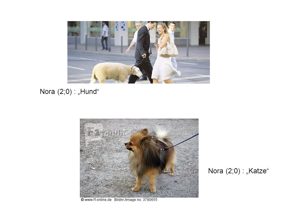Nora (2;0) : „Hund Nora (2;0) : „Katze