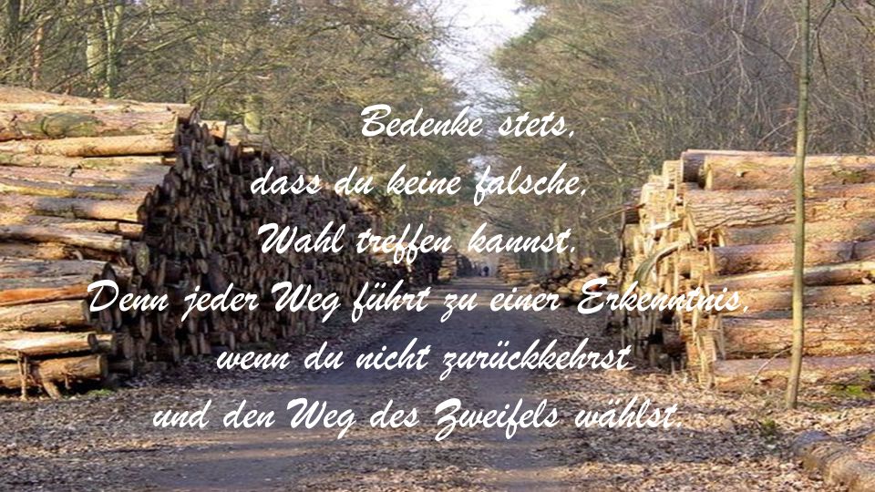 Denn jeder Weg führt zu einer Erkenntnis, wenn du nicht zurückkehrst