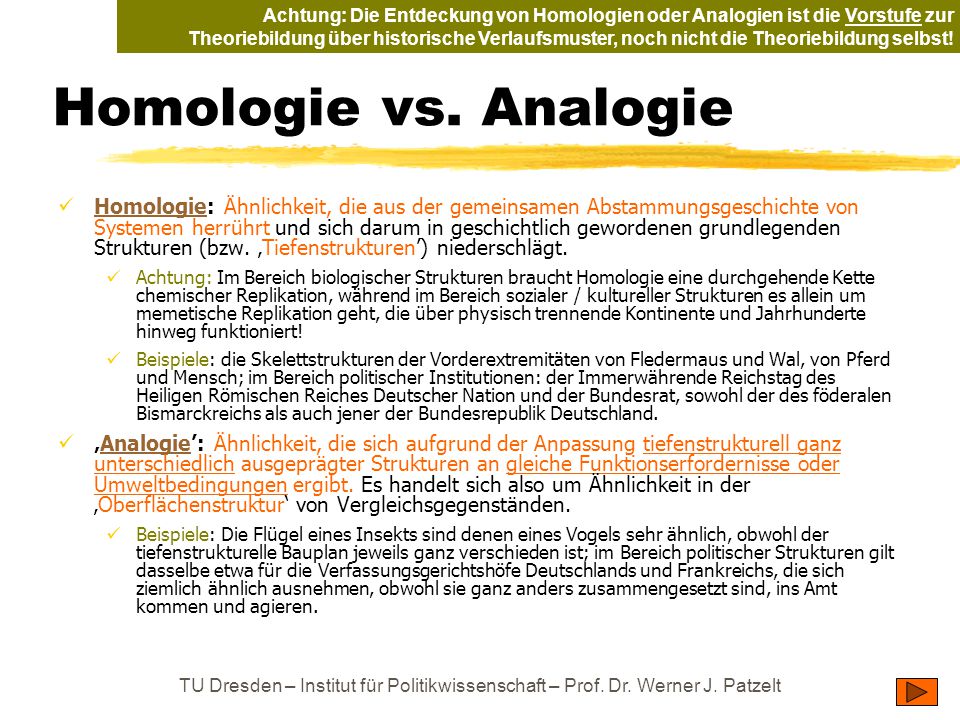 Achtung: Die Entdeckung von Homologien oder Analogien ist die Vorstufe zur Theoriebildung über historische Verlaufsmuster, noch nicht die Theoriebildung selbst!