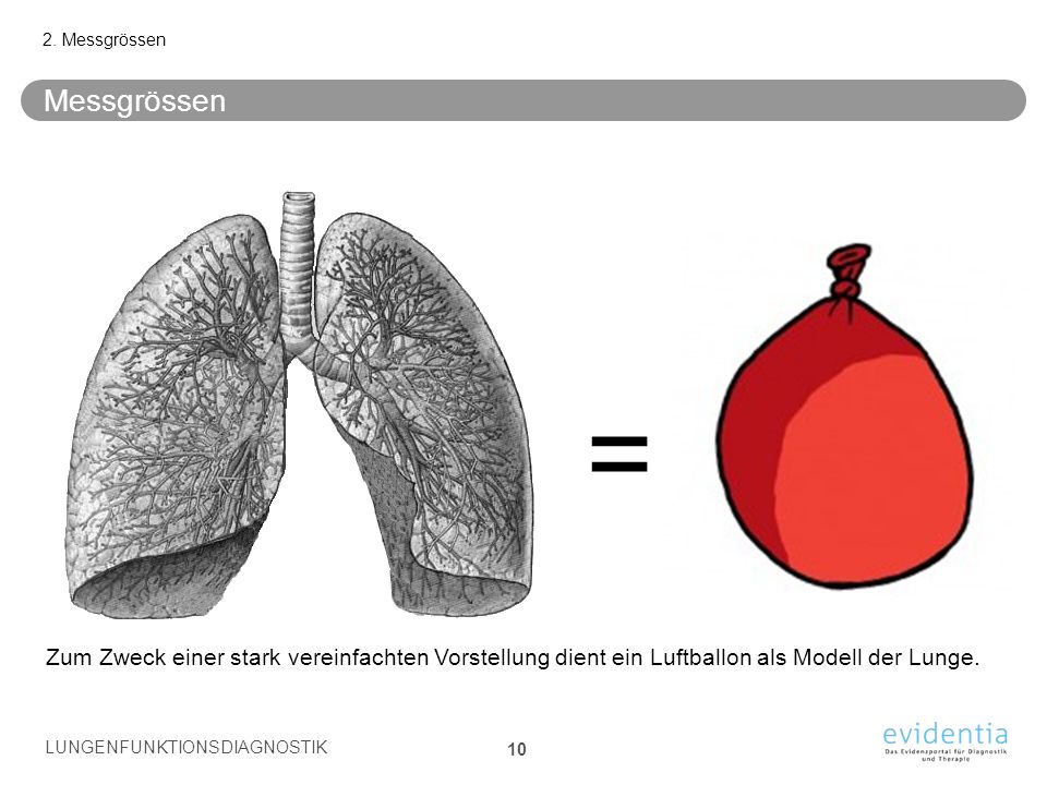 2. Messgrössen Messgrössen. = Zum Zweck einer stark vereinfachten Vorstellung dient ein Luftballon als Modell der Lunge.