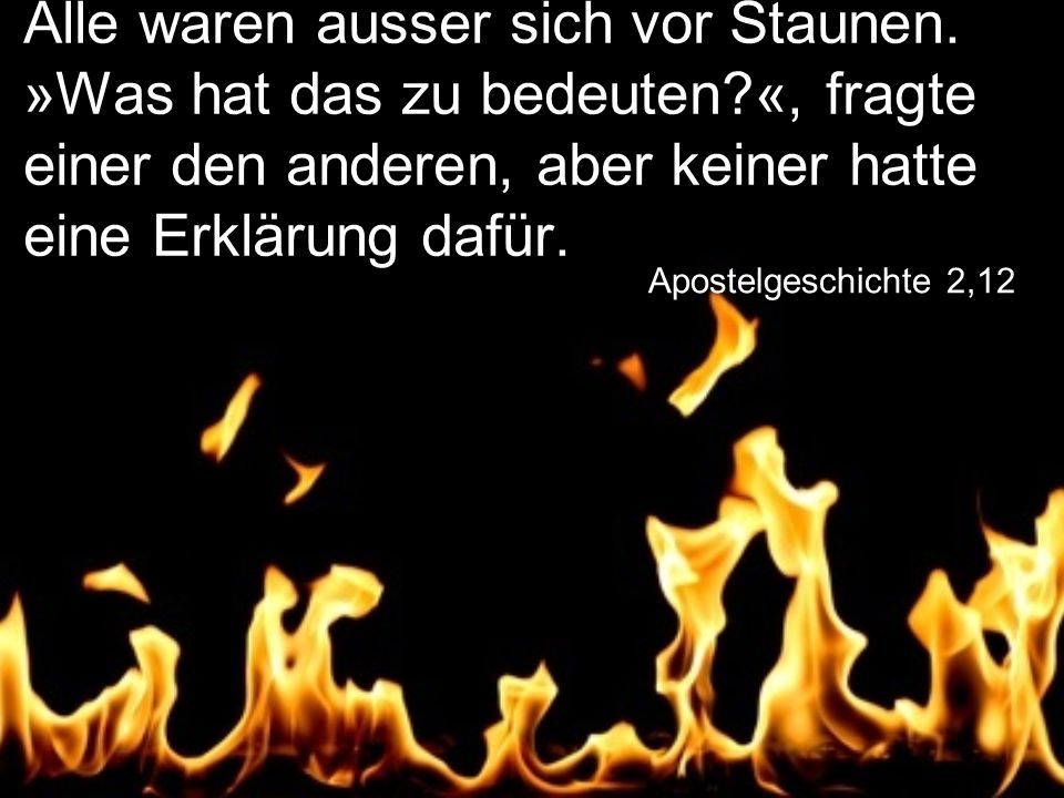 Alle waren ausser sich vor Staunen. »Was hat das zu bedeuten