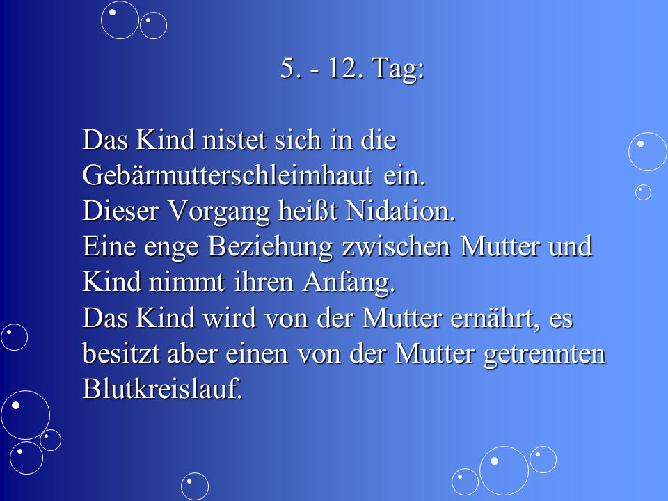 Tag: Das Kind nistet sich in die Gebärmutterschleimhaut ein