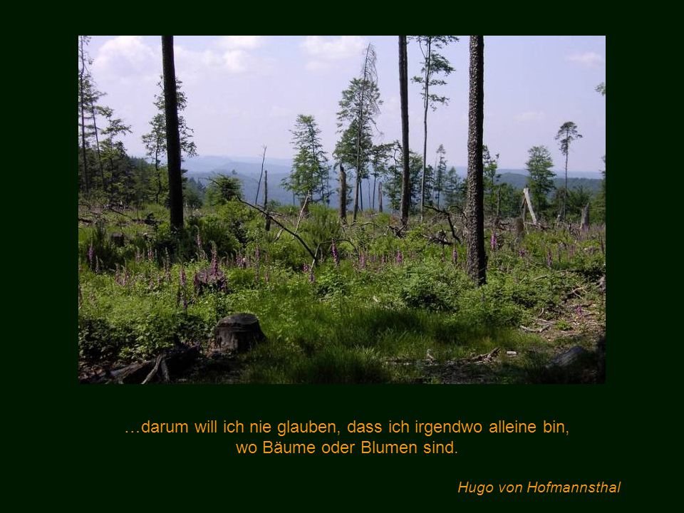 …darum will ich nie glauben, dass ich irgendwo alleine bin,