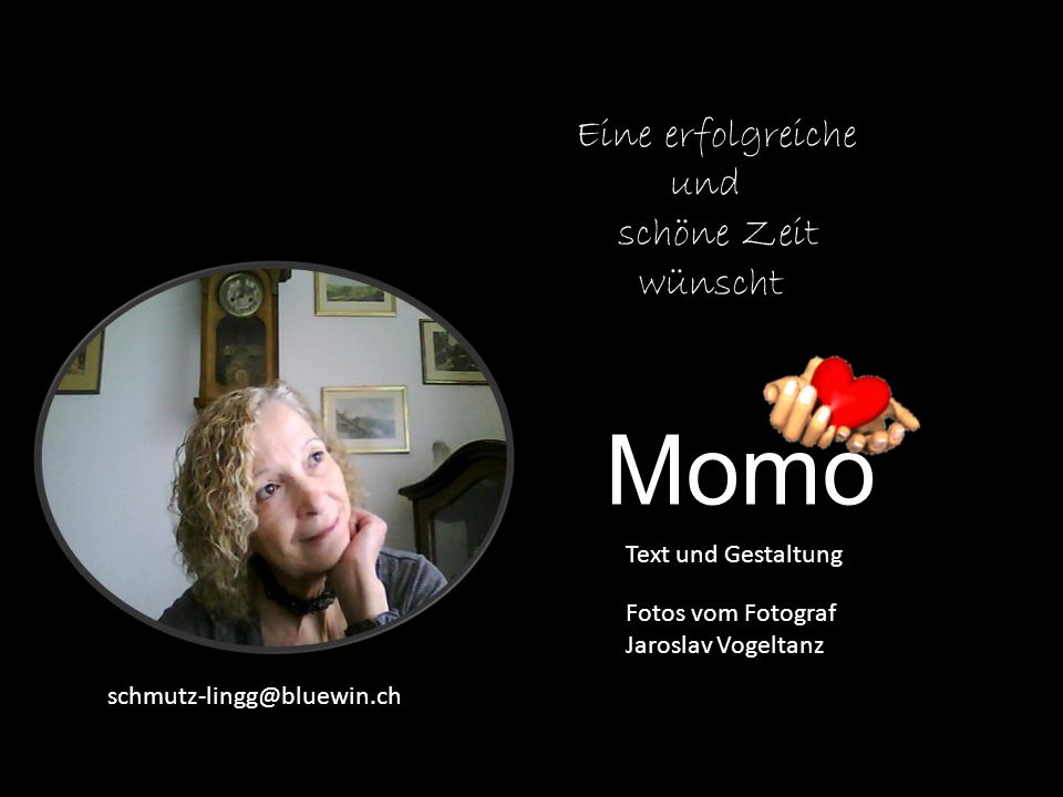 Momo Eine erfolgreiche und schöne Zeit wünscht Text und Gestaltung