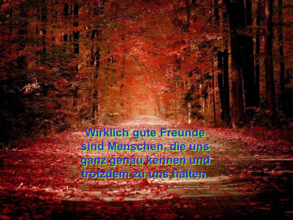 Wirklich gute Freunde sind Menschen, die uns ganz genau kennen und trotzdem zu uns halten.
