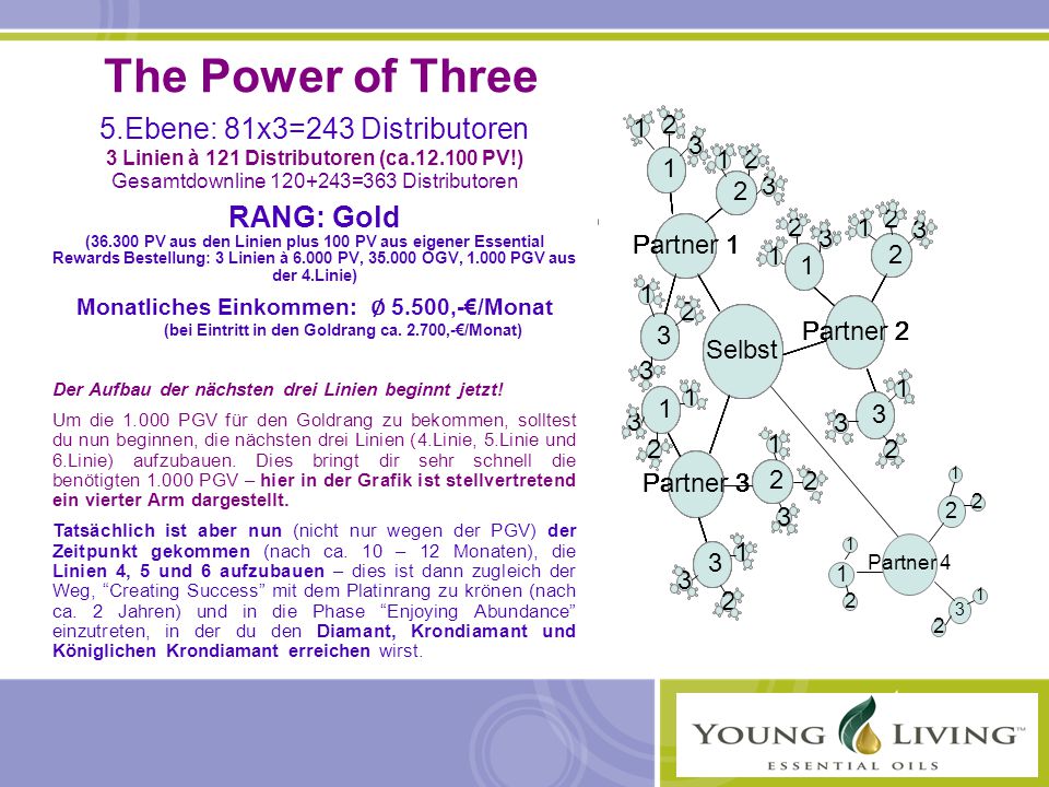 The Power of Three 5.Ebene: 81x3=243 Distributoren RANG: Gold