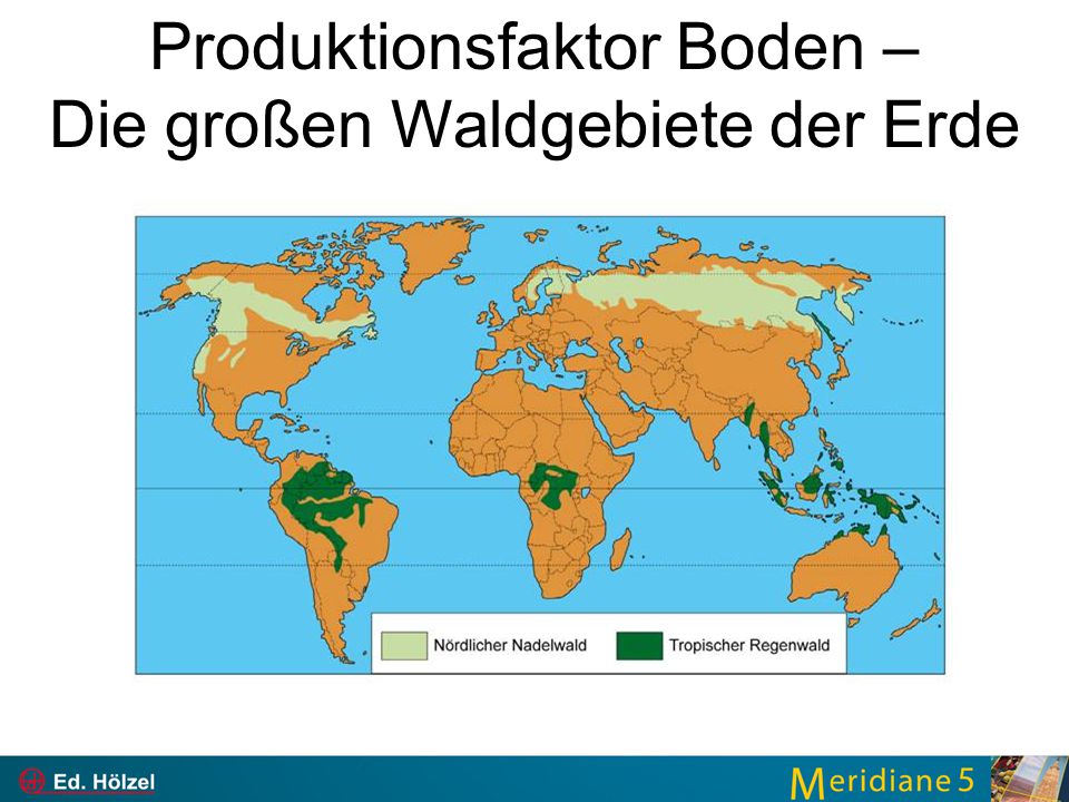 Produktionsfaktor Boden – Die großen Waldgebiete der Erde