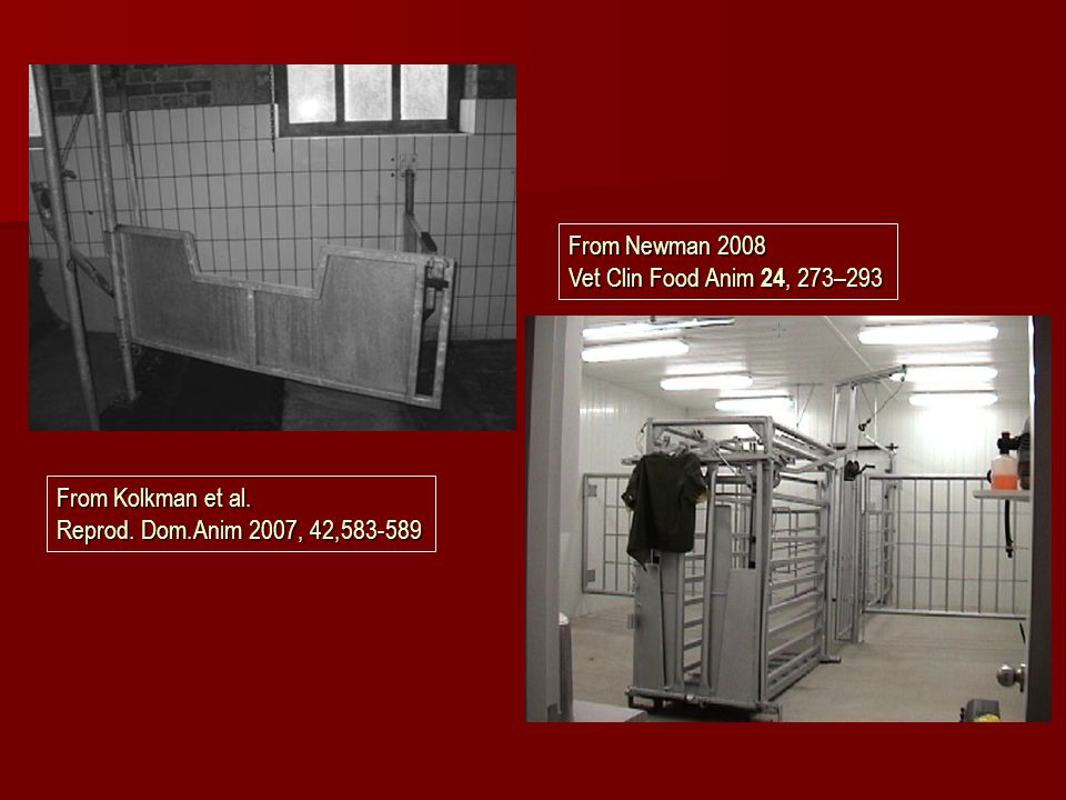 From Newman 2008 Vet Clin Food Anim 24, 273–293. From Kolkman et al.