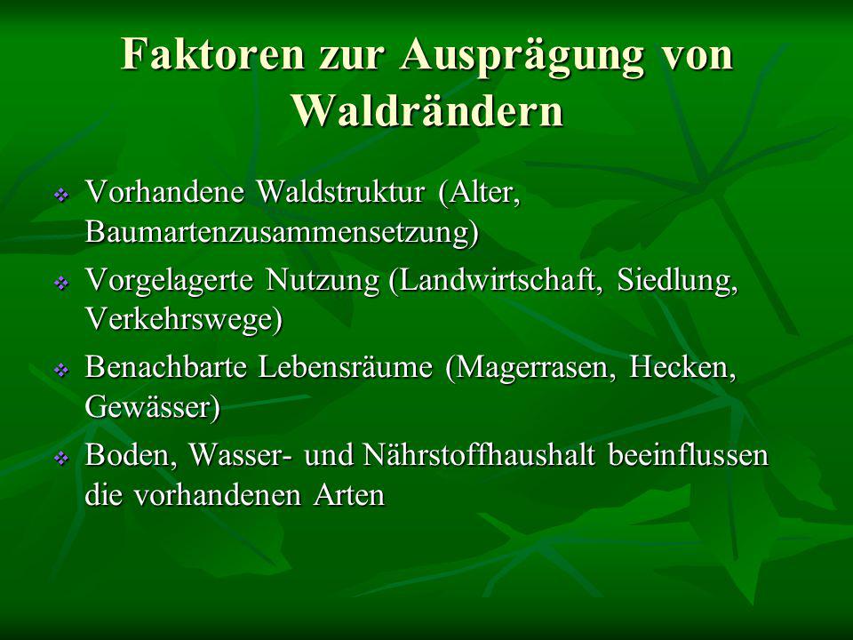 Faktoren zur Ausprägung von Waldrändern
