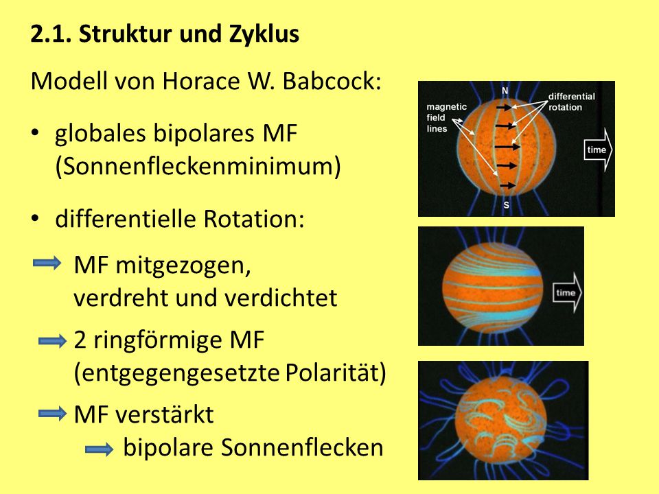 2.1. Struktur und Zyklus Modell von Horace W. Babcock: globales bipolares MF. (Sonnenfleckenminimum)