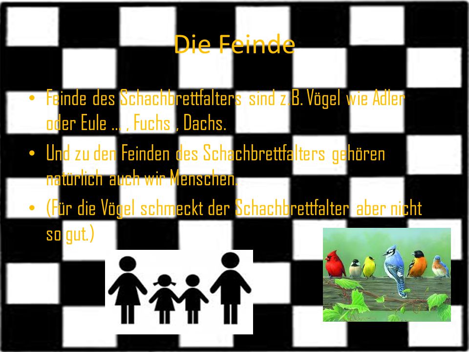 Die Feinde Feinde des Schachbrettfalters sind z.B. Vögel wie Adler oder Eule … , Fuchs , Dachs.