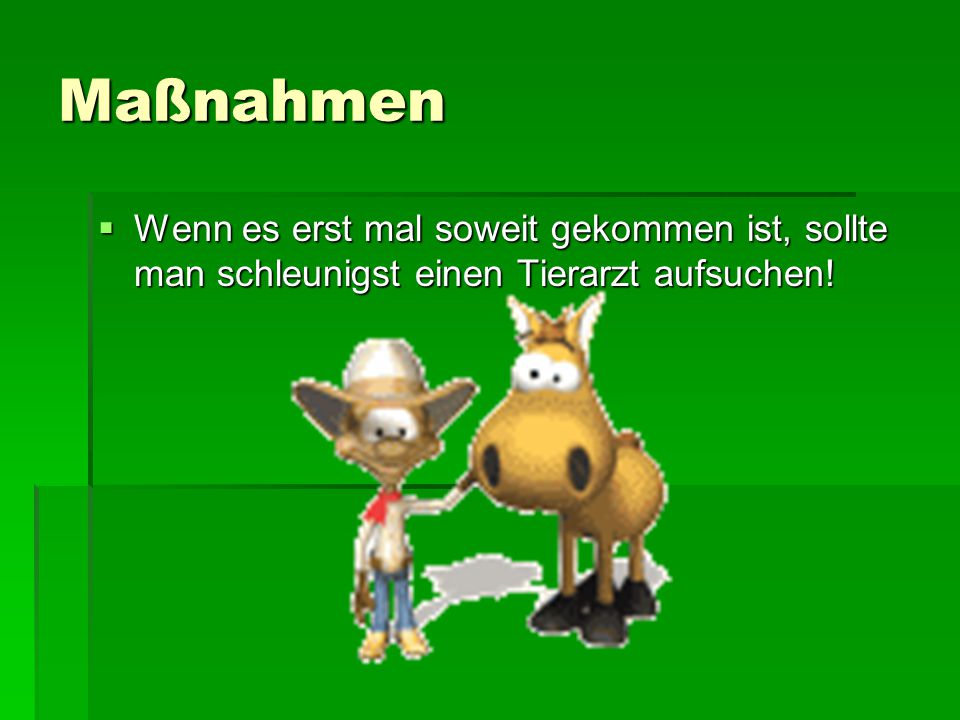 Maßnahmen Wenn es erst mal soweit gekommen ist, sollte man schleunigst einen Tierarzt aufsuchen!