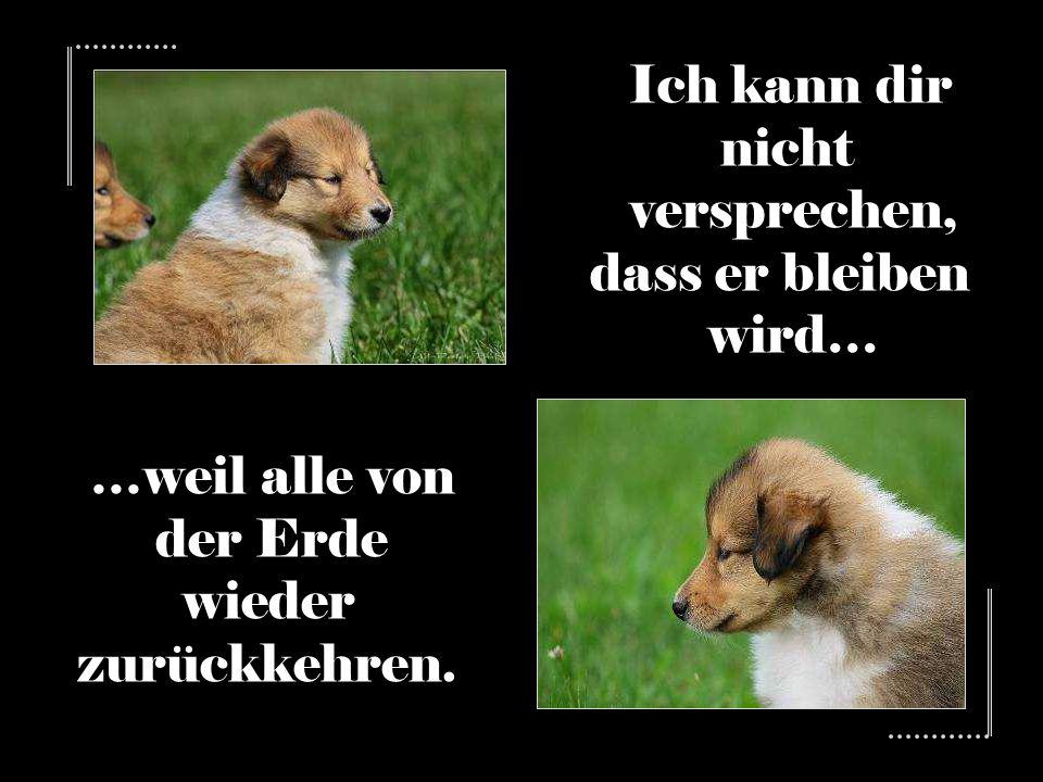 Ich kann dir nicht versprechen, dass er bleiben wird… …weil alle von der Erde wieder zurückkehren.