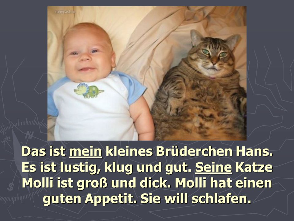 Das ist mein kleines Brüderchen Hans. Es ist lustig, klug und gut