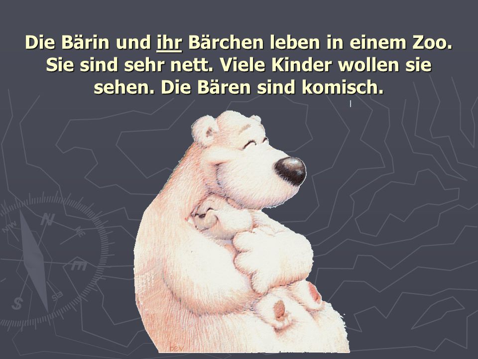 Die Bärin und ihr Bärchen leben in einem Zoo. Sie sind sehr nett