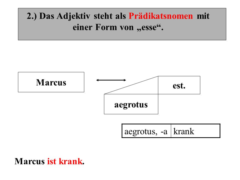 2.) Das Adjektiv steht als Prädikatsnomen mit einer Form von „esse .
