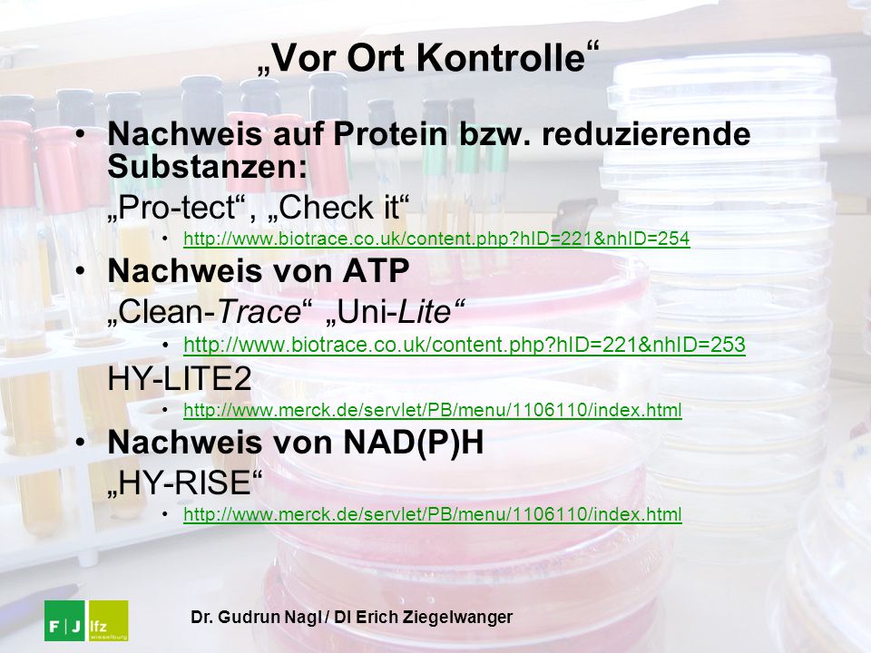 „Vor Ort Kontrolle Nachweis auf Protein bzw. reduzierende Substanzen: