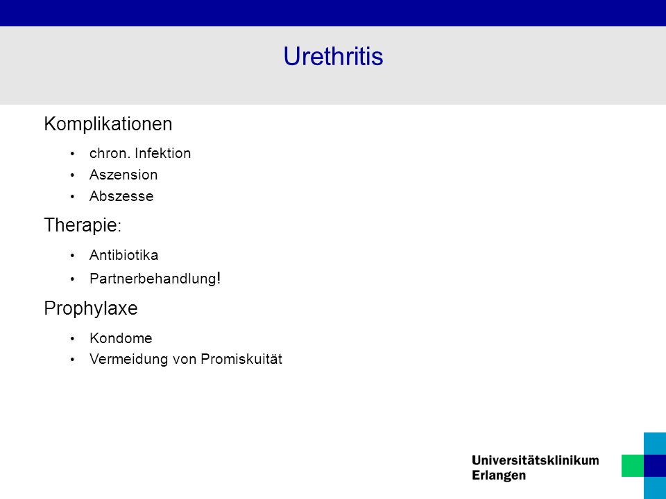 Urethritis Komplikationen Therapie: Prophylaxe chron. Infektion