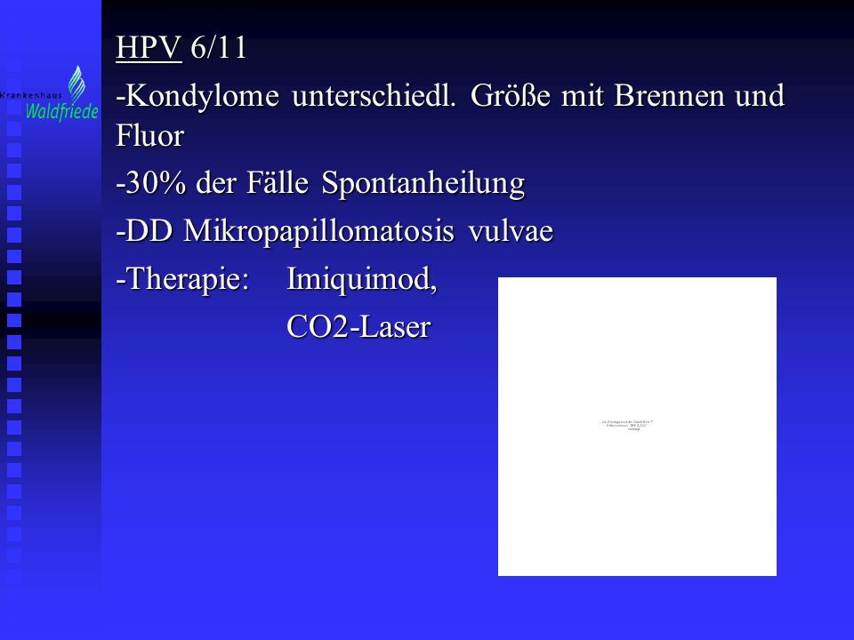 HPV 6/11 -Kondylome unterschiedl. Größe mit Brennen und Fluor. -30% der Fälle Spontanheilung. -DD Mikropapillomatosis vulvae.