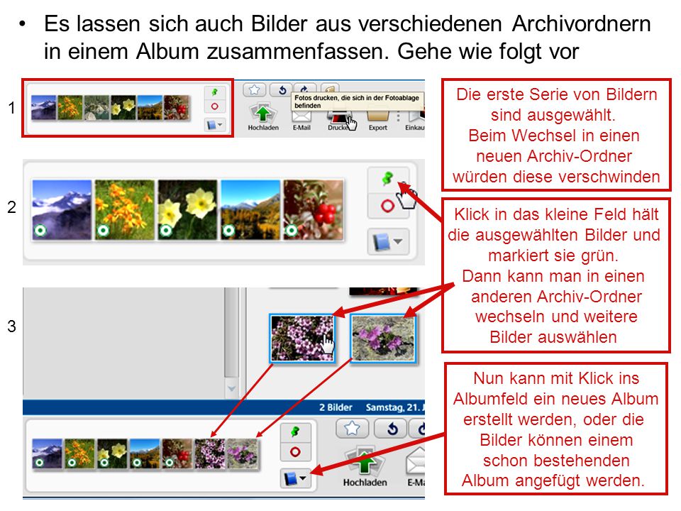 Es lassen sich auch Bilder aus verschiedenen Archivordnern in einem Album zusammenfassen. Gehe wie folgt vor