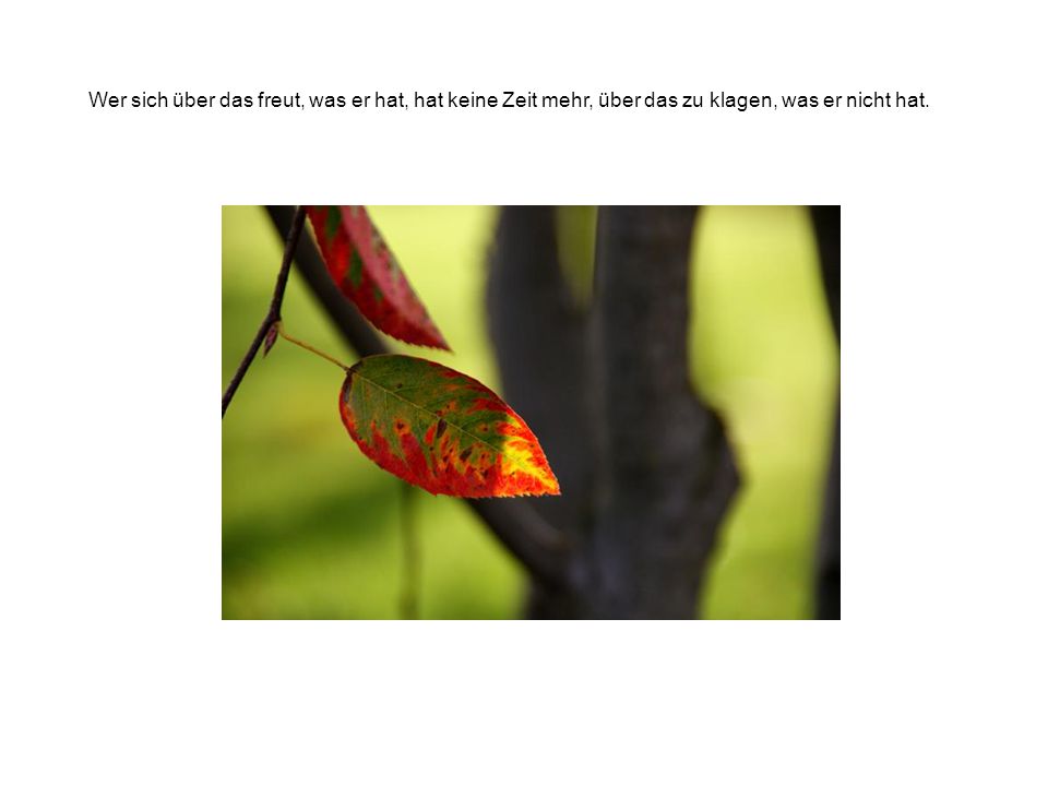 Wer sich über das freut, was er hat, hat keine Zeit mehr, über das zu klagen, was er nicht hat.