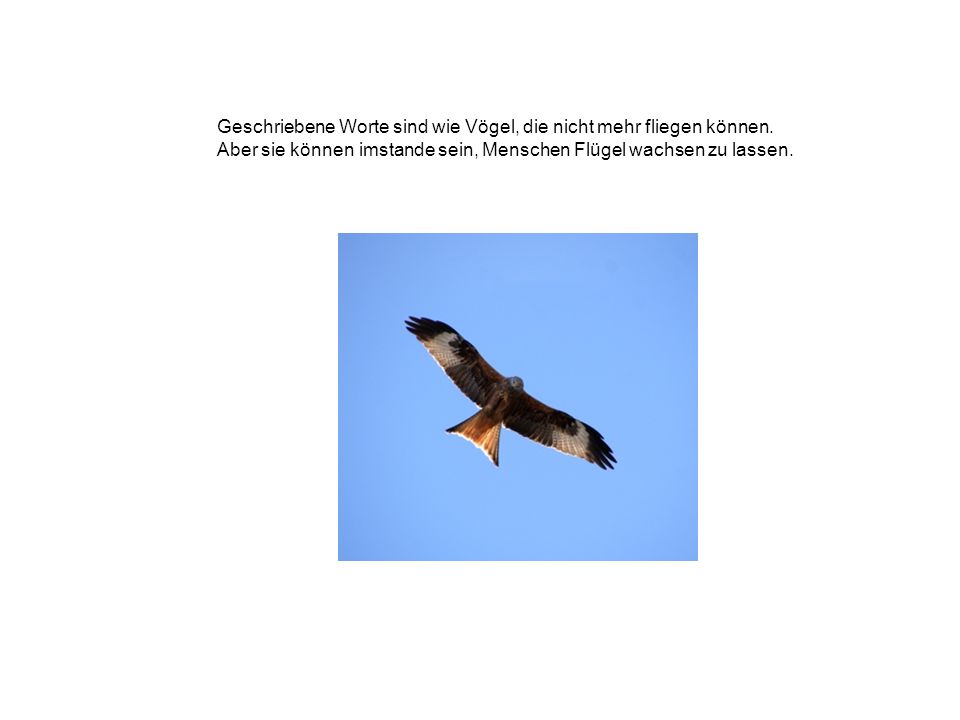 Geschriebene Worte sind wie Vögel, die nicht mehr fliegen können